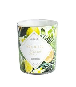 Geurkaars Citrus Met Zilveren Oorbellen -Professionele winkel voor decoratieve artikelen 10fd85bb2bea41a7b33ca7d9022ae6d8