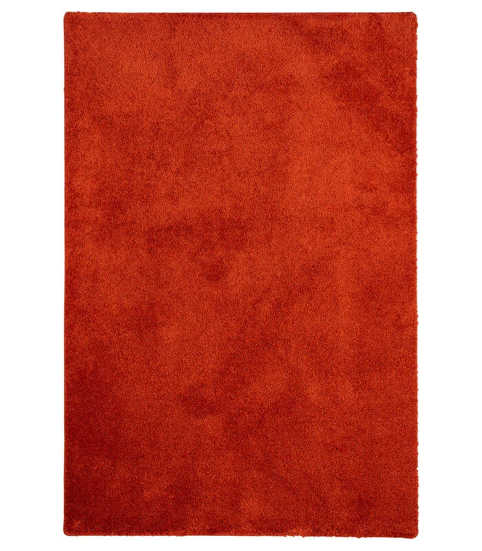 Vloerkleed Shaggy Paleis 3 Vloerkleed Shaggy Paleis