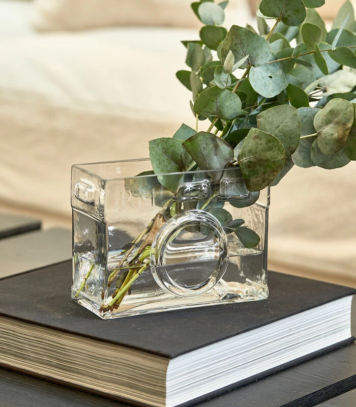 Vaas RM Camera Transparant 4 Vaas RM Camera Transparant - Afbeelding 2