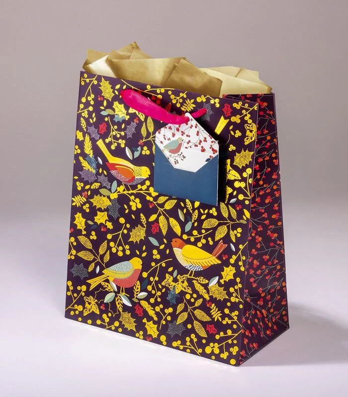 Geschenkentas RamageL 20 X H 25 X P 10 Cm 3 Geschenkentas RamageL 20 X H 25 X P 10 Cm