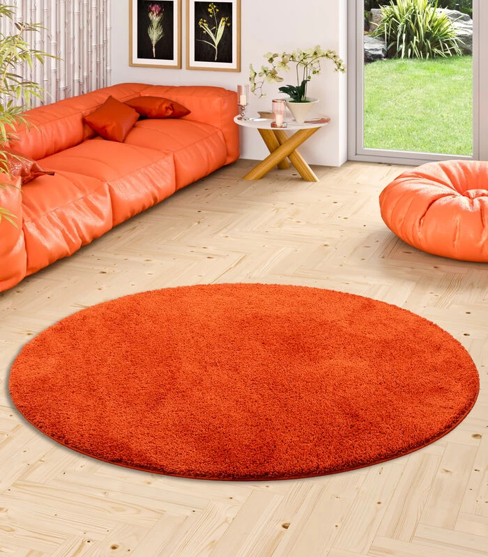 Vloerkleed Shaggy Palace Rond 4 Vloerkleed Shaggy Palace Rond - Afbeelding 2
