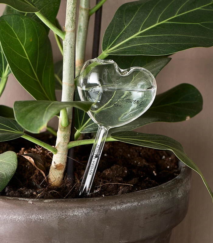 Waterdruppelaar Voor Planten - RM Heart Water Dropper - Transparant 4 Waterdruppelaar Voor Planten - RM Heart Water Dropper - Transparant - Afbeelding 2