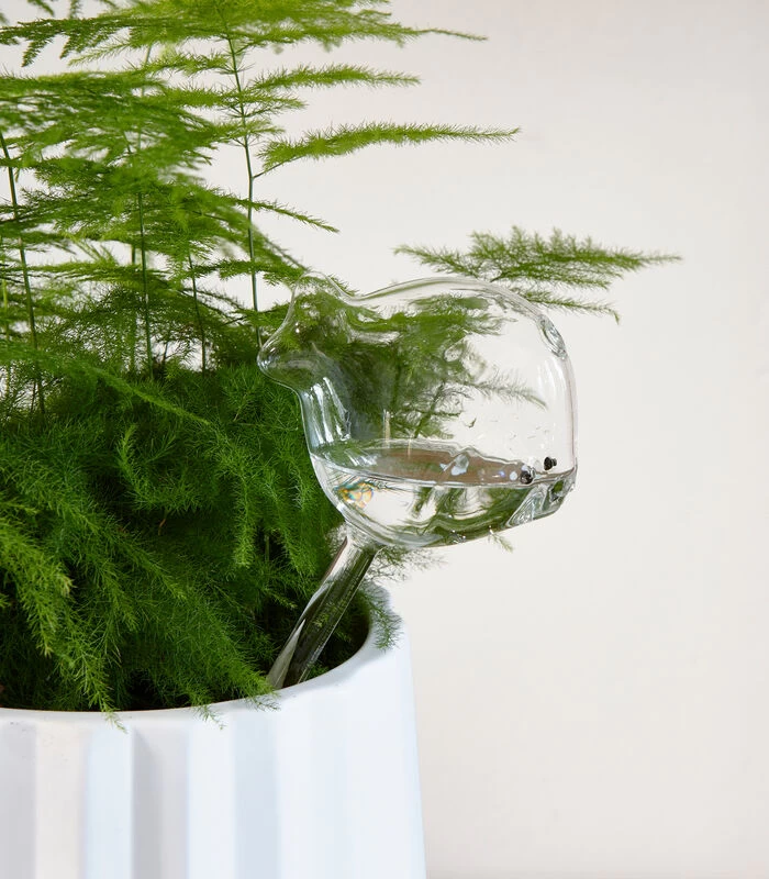 Waterdruppelaar Voor Planten, Vorm Van Vis - Fish Water - Transparant 4 Waterdruppelaar Voor Planten, Vorm Van Vis - Fish Water - Transparant - Afbeelding 2