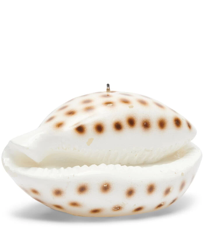 Kaars Schelp Wit 3 Kaars Schelp Wit