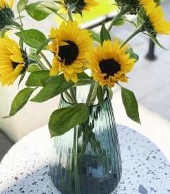 DIM Vaas Stripe Medium Groen 11 DIM Vaas Stripe Medium Groen -Professionele winkel voor decoratieve artikelen 6041e309471d4be8ba217d90ac413fee