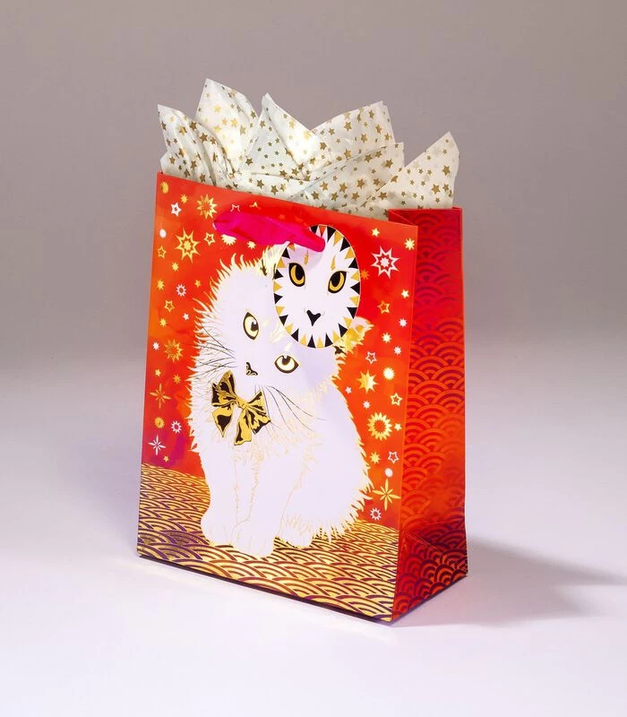 Geschenkentas ChachouL 14 X H 18 X P 6,5 Cm Env 3 Geschenkentas ChachouL 14 X H 18 X P 6,5 Cm Env