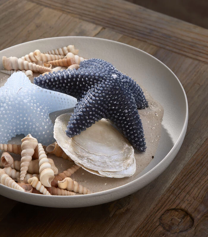 Kaars, Decoratieve Stompkaars Zeester - Starfish - Donkerblauw 4 Kaars, Decoratieve Stompkaars Zeester - Starfish - Donkerblauw - Afbeelding 2