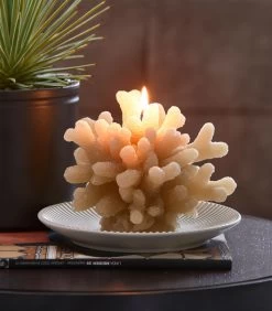 Kaars, Decoratieve Stompkaars Koraal - Coral - Blauw - 1 Stuk 5 Kaars, Decoratieve Stompkaars Koraal - Coral - Blauw - 1 Stuk -Professionele winkel voor decoratieve artikelen 9973dd9dac084857ba92b4adca1ea19a