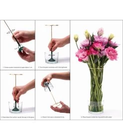 Invisivase -Professionele winkel voor decoratieve artikelen a1ba77ba8b134a30a23f3373d725f80e