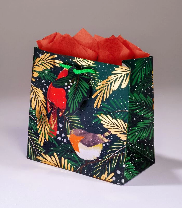 Geschenkentas CardinalL18 X H 18 X P 10 Cm 3 Geschenkentas CardinalL18 X H 18 X P 10 Cm