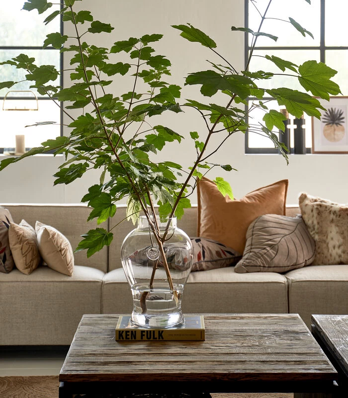 Vaas RM Aphrodite Transparant 4 Vaas RM Aphrodite Transparant - Afbeelding 2