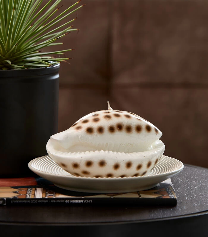 Kaars Schelp Wit 4 Kaars Schelp Wit - Afbeelding 2