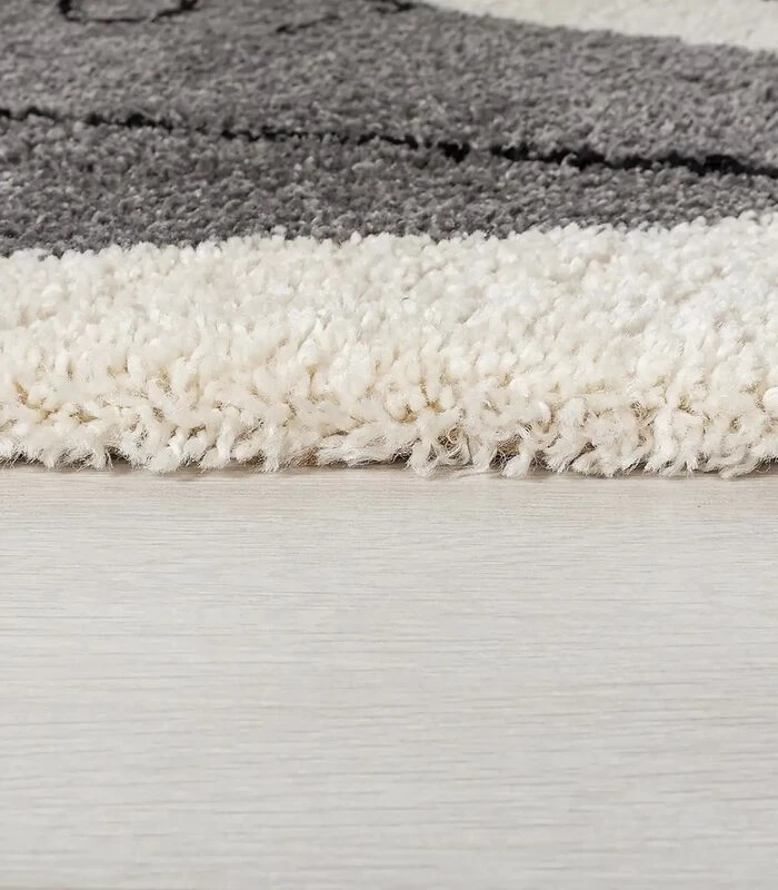 Design Woonkamertapijt 6 Design Woonkamertapijt - Afbeelding 4