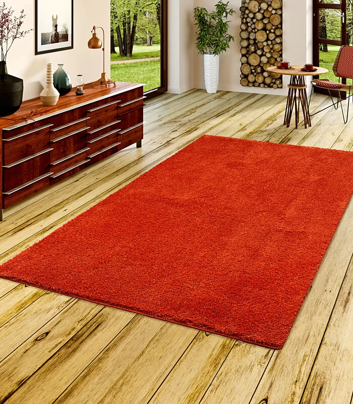 Vloerkleed Shaggy Paleis 4 Vloerkleed Shaggy Paleis - Afbeelding 2