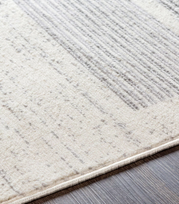 Gestreept Geometrisch Vloerkleed 5 Gestreept Geometrisch Vloerkleed - Afbeelding 3