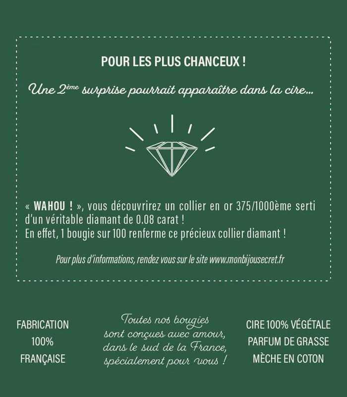 Geurkaars Kokosnoot Met Zilveren Oorbellen 6 Geurkaars Kokosnoot Met Zilveren Oorbellen - Afbeelding 4