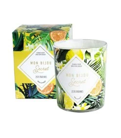 Geurkaars Citrus Met Zilveren Oorbellen